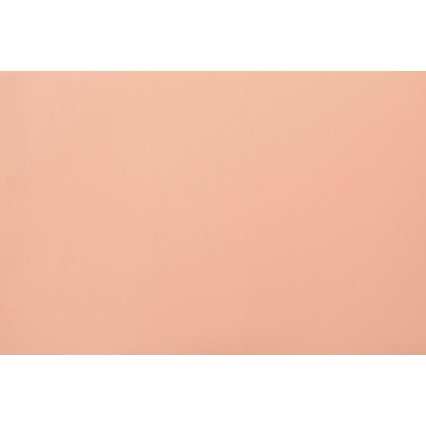 BOBINE PERL.FP. 2L.60MY 1X25MT. PESCA